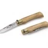 Knives & Tools Antonini Old Bear Stainless Knife - Olive Wood