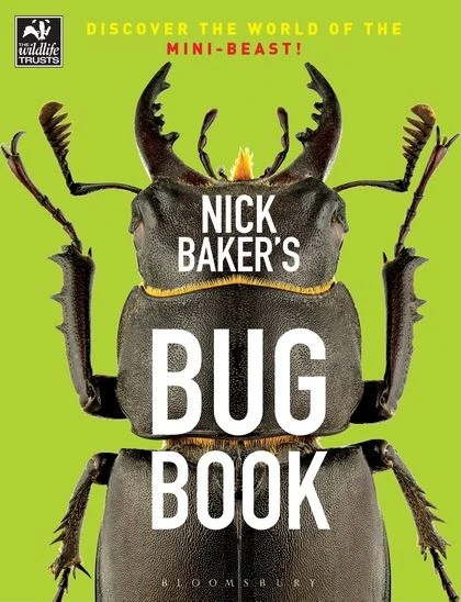 Bloomsbury Books Bug Book 3 Bloomsbury Books Bug Book