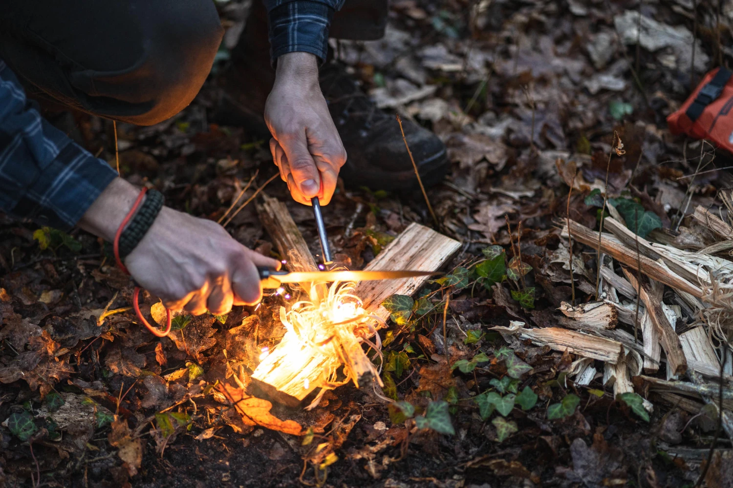 Daily Camping World 2 Daily Camping World -Daily Camping World 1565